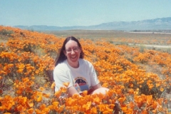 In flowers